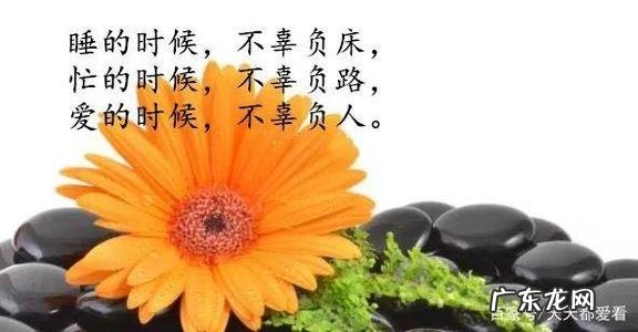 经典诗句人生感悟简短 【抖音文案】简短经典的人生感悟