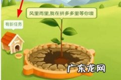 拼多多果园送水果有多少 拼多多种树领水果要多久？种树的花费时间长吗？下载拼多多果园种