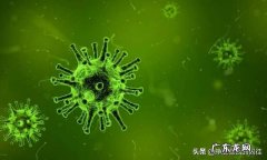 世卫：目前只有一种药可能有效，就是瑞德西韦。是暗示其他无效吗