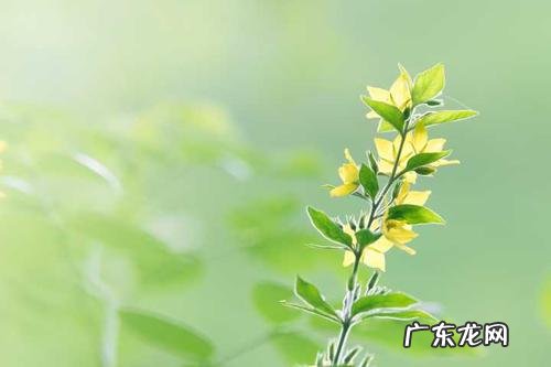 春夏季节变换的唯美句子 【抖音文案】春夏秋冬的唯美句子