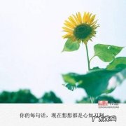 描写乡愁的唯美佳句短句 【抖音文案】描写11月份的唯美短句