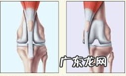 探讨犬髌骨脱位