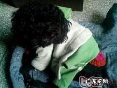 探讨犬髌骨脱位