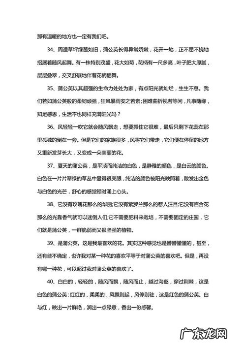 人生像蒲公英励志句子 【抖音文案】蒲公英的赞美句子