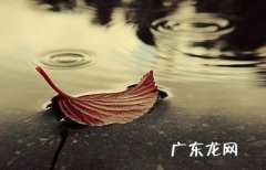 感情伤感的句子说说心情长句 【抖音文案】感情伤感的句子说说心情