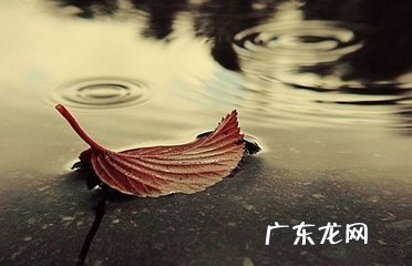 感情伤感的句子说说心情长句 【抖音文案】感情伤感的句子说说心情