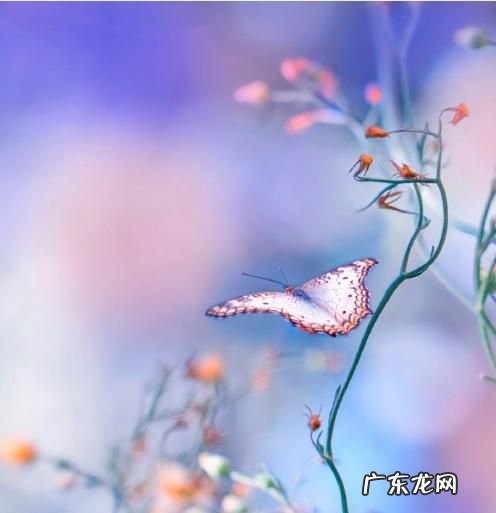 心情不好怎么开导别人的句子 【抖音文案】开导心情不好经典句子