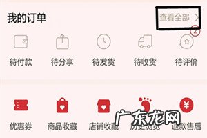 拼多多订单编号查询在哪看?怎么快速查到订单编号?
