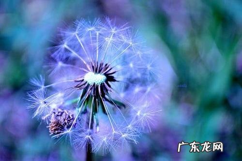 心情不好吃巧克力的唯美句子 【抖音文案】关于心情不好的唯美句子