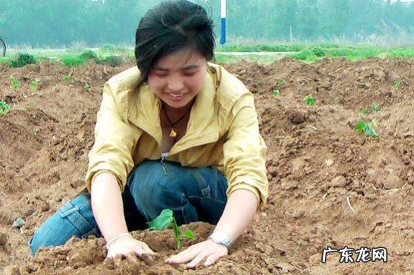 农民收入的四个来源 农民收入的主要来源是什么