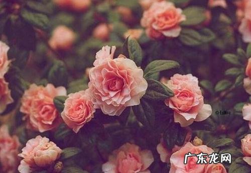 童年时光飞逝的短句唯美 【抖音文案】岁月飞逝的短句唯美