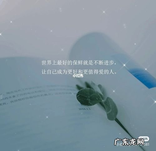 坚持就是胜利的励志句子 【抖音文案】优质励志句子