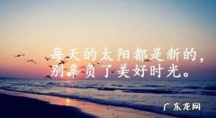 超拽高冷句子8个字男生 【抖音文案】超拽高冷句子8个字