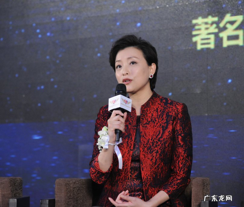 湖南卫视主持人工资表 湖南卫视主持人工资高吗