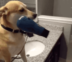 电吹风辐射大吗?孕妇孩子能用吗?