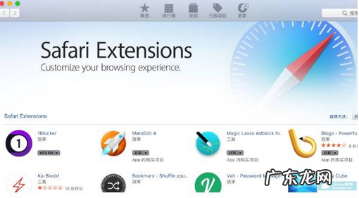 插件安装方法详解 safari插件怎么添加