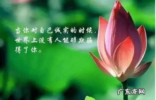 人生励志语录经典句子 【抖音文案】励志名句经典语录