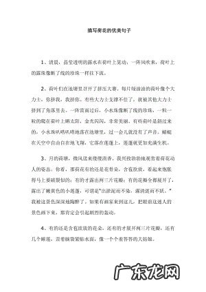 描写夜晚森林环境优美的句子 【抖音文案】描写城市环境优美的句子