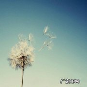 描写蒲公英的句子,有比喻和拟人 【抖音文案】描写蒲公英的句子