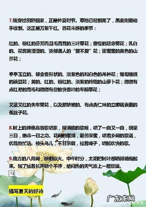 描写夏天的好词好句有哪些,摘自 【抖音文案】描写夏天的好词好句有哪些