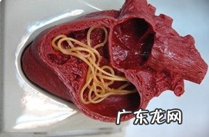 春天小狗狗易患什么裂头蚴?