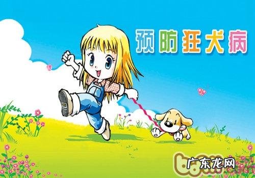 有关狂犬病毒的三大错误观念