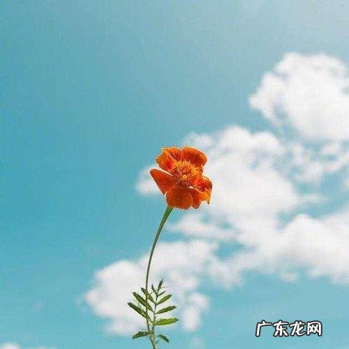 歌颂十一月份的诗句 【抖音文案】歌颂十一月份的短句