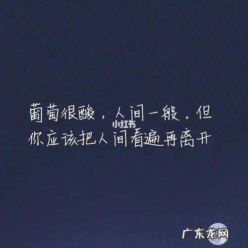 表达好久不见的幽默句子 【抖音文案】好久不见幽默句子回复