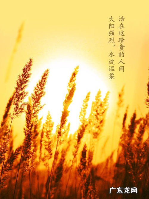 描写十月的优美句子 【抖音文案】十月的优美句子