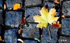 描写十月的优美句子 【抖音文案】十月的优美句子