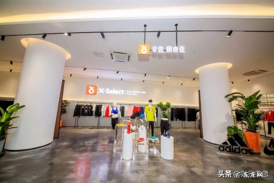 辛巴和薇娅哪个更有钱 辛巴直播一场最高记录卖多少钱