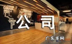 个人一般注册什么类型的公司？如何选择注册的企业类型？