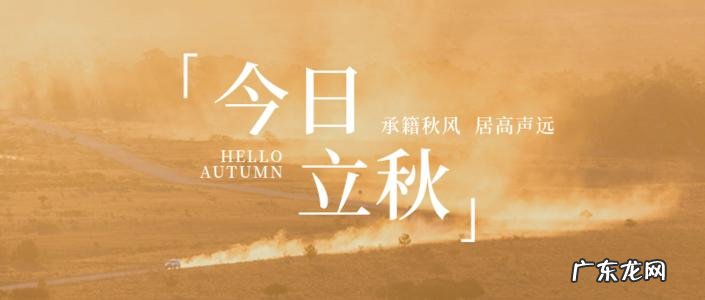 笑看风起时,完整句子 【抖音文案】关于风起时的句子