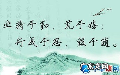 形容读书好的名言名句 【抖音文案】形容时光飞逝的名言名句