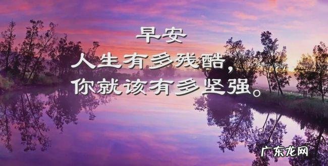 心情爽朗的句子 【抖音文案】形容心情好的句子