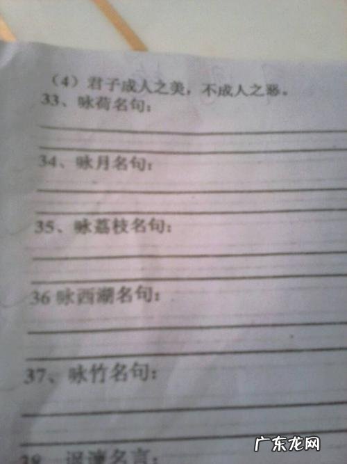 描写风和雨的名句 【抖音文案】描写风的名句有哪些