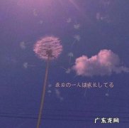 发qq动态关于闺蜜的句子 【抖音文案】关于闺蜜的句子