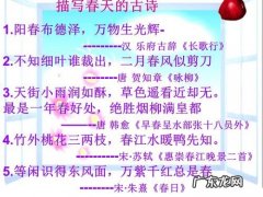 春夏秋冬的句子有哪些300字作文 【抖音文案】春夏秋冬的句子有哪些