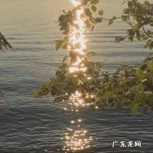 【抖音文案】你的眼里有光文艺句子