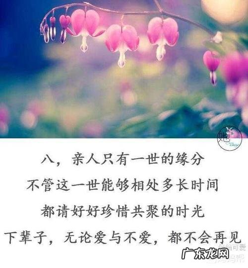 闺蜜珍惜友谊的句子 【抖音文案】珍惜友谊的句子