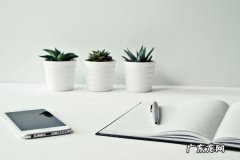 虾皮跨境电商怎么注册店铺？流程是什么？