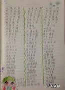 摘抄好词好句好段大全 【抖音文案】好词好句摘抄大全短句