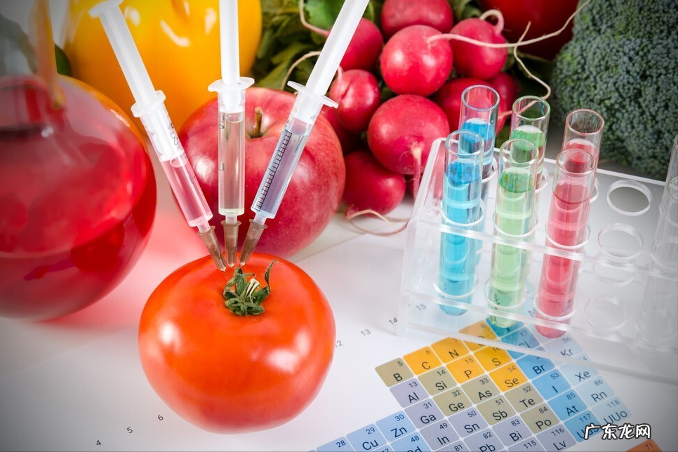 转基因食品对人的危害 对转基因食品安全的看法