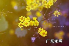 唯美的励志句子短句子 【抖音文案】好听的句子唯美短句子