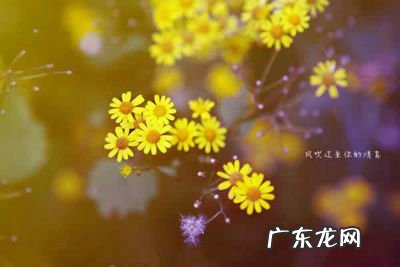 唯美的励志句子短句子 【抖音文案】好听的句子唯美短句子