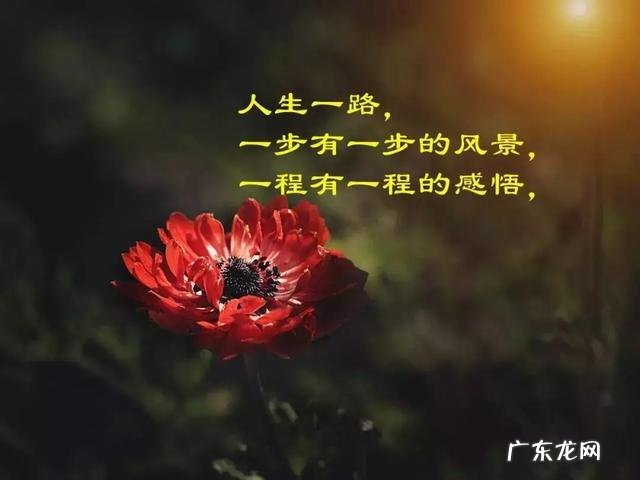 发朋友圈路上风景的精美句子 【抖音文案】风景发朋友圈的精美句子