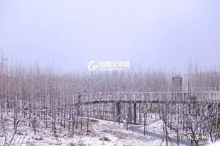 2021年的义乌新名片 义乌区号是多少号码