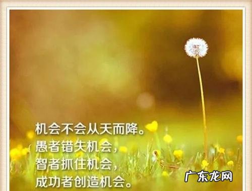 励志短句霸气 女人 格言 【抖音文案】女人励志格言经典短句