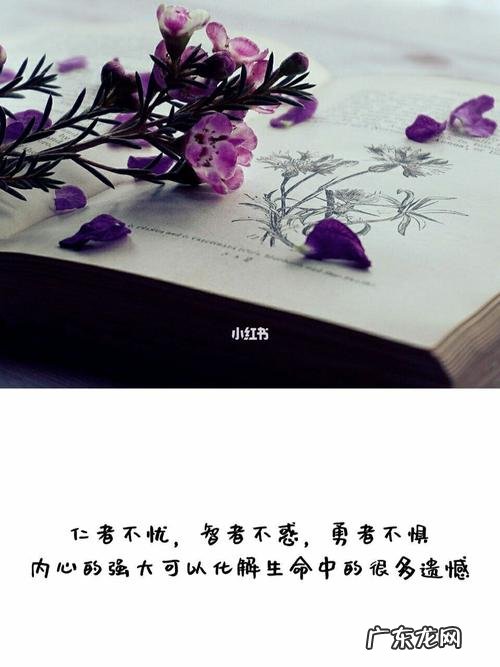 每个月份的金句 【抖音文案】10月份的金句