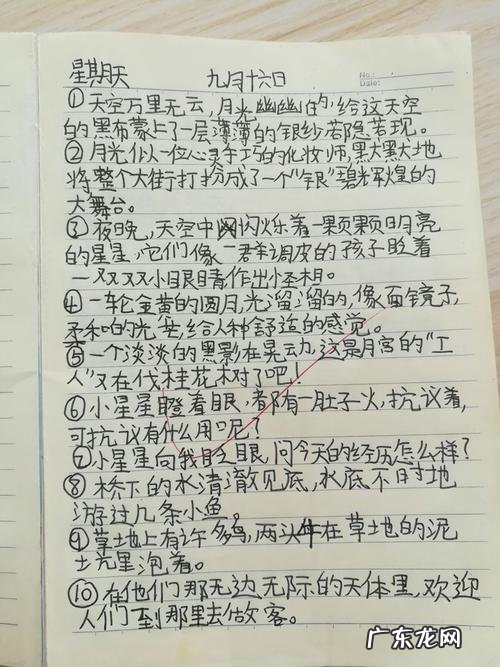 每日摘抄优美句子三年级 【抖音文案】每日摘抄优美句子50字